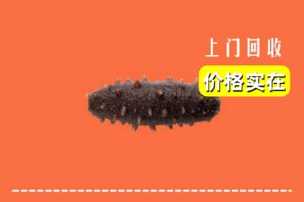 收购资讯:冷水滩区回收海参