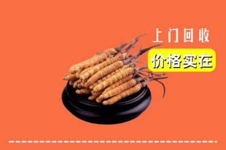 冷水滩区回收冬虫夏草